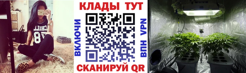 Купить закладку Анива Марихуана A-PVP КОКАИН ГАШИШ Меф мяу мяу