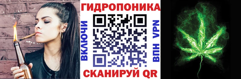 блэк спрут ссылки  Анива  Шишки марихуана конопля 
